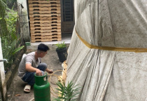 Xử lý nhiệt cho pallet xuất khẩu