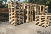  Lợi ích của việc sử dụng pallet gỗ Thuận An