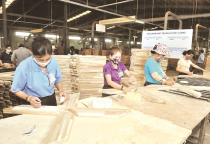 Xuất khẩu gỗ bứt phá ngay trong tháng 1/2024