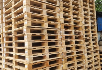 Pallet gỗ khu công nghiệp Thuận Đạo Long An