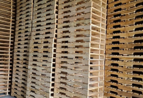 Tây Ninh Phát Triển Thêm Nhiều Khu Công Nghiệp: Nhu Cầu Sử Dụng Pallet Gỗ Tăng Cao