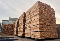 Nguồn cung nguyên liệu gỗ cho sản xuất pallet ở Bình Dương từ đâu?