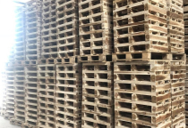  Tại sao nên sử dụng pallet gỗ tại các khu công nghiệp Phú Giáo Bình Dương?