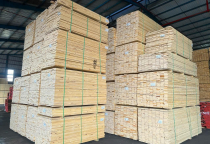 Ngành gỗ Việt Nam đang đối mặt với thách thức lớn