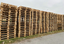 Cách Chọn Mua Pallet Gỗ Giá Rẻ Tại Bình Dương