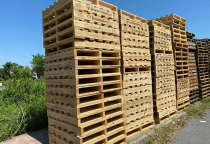 Pallet Mới Giá Cao: Các Công Ty Long An Chuyển Sang Sử Dụng Pallet Tái Chế Giá Rẻ Vẫn Đảm Bảo Chất Lượng