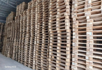  Lợi Ích Của Việc Sử Dụng Pallet Gỗ Tại Bàu Bàng