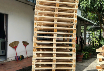  Cách Chọn Mua Pallet Gỗ Giá Rẻ Tại KCN Rạch Bắp, Bình Dương