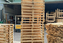 Cách chọn mua pallet gỗ giá rẻ tại thành phố Mỹ Tho, Tiền Giang