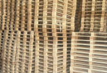  Cách Chọn Mua Pallet Gỗ Giá Rẻ Tại KCN Đồng An, Bình Dương