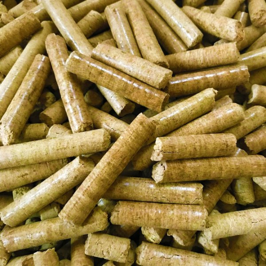 CỦI TRẤU VIÊN